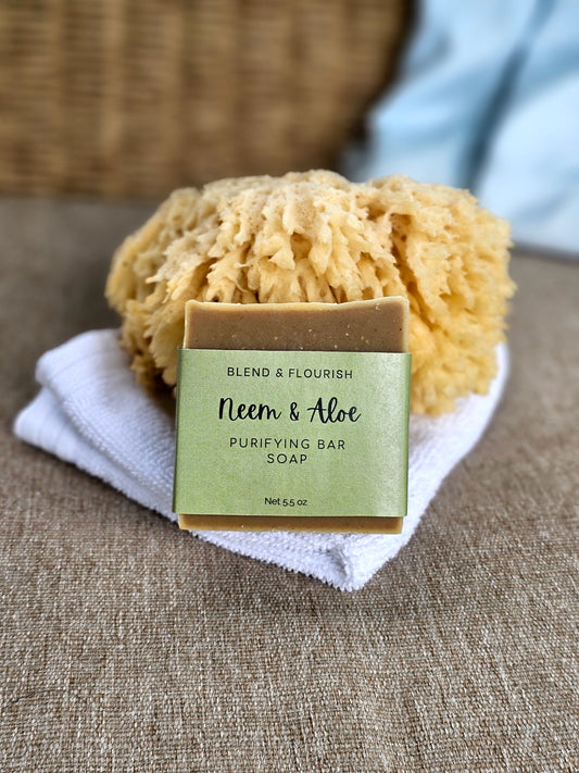 Neem & Aloe bar soap